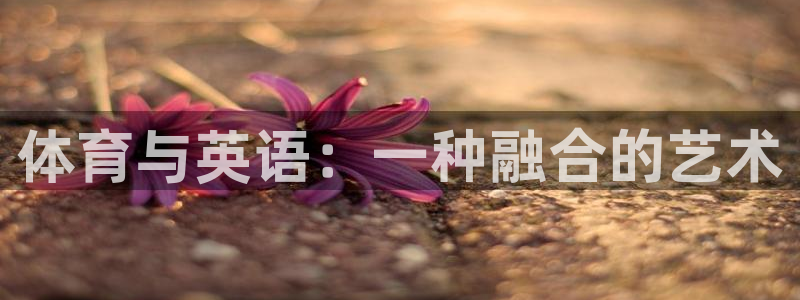 捷报图片：体育与英语：一种融合的艺术