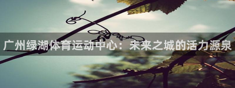 捷报体育篮球：广州绿湖体育运动中心：未来之城的活力源泉