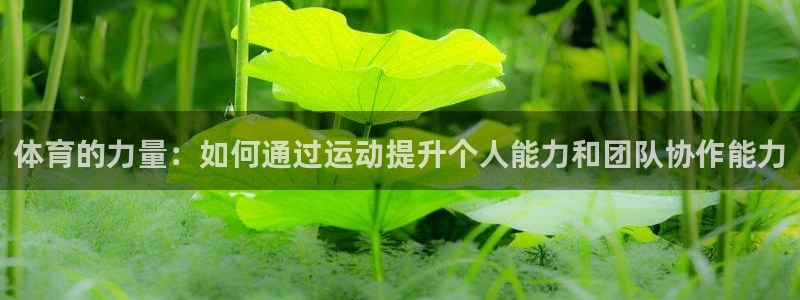 捷报体育官网：体育的力量：如何通过运动提升个人能力和团队协作能力