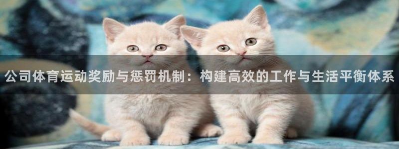 捷报完场比分：公司体育运动奖励与惩罚机制：构建高效的工作与生活平衡体系