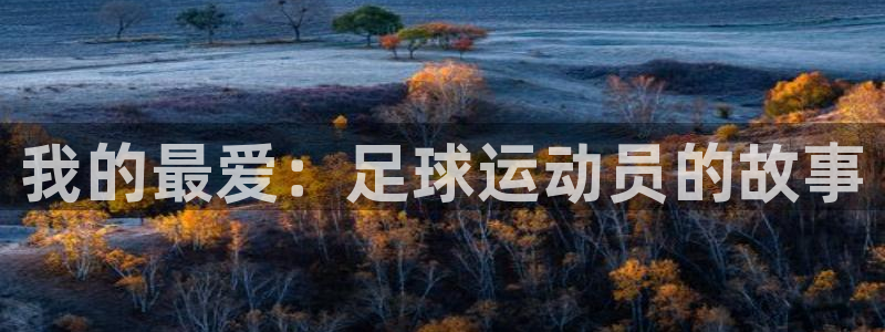 捷报体育资讯：我的最爱：足球运动员的故事
