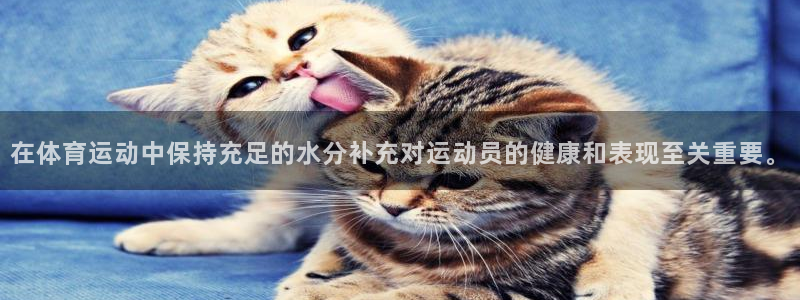捷报足球即时比分手机版：在体育运动中保持充足的水分补充对运动员的健康和表现至关重要。