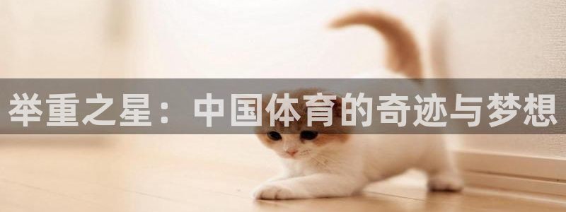 捷报体育比分 数据：举重之星：中国体育的奇迹与梦想