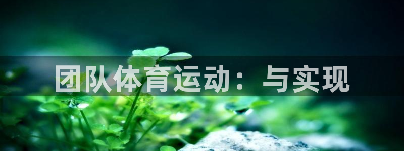 捷报足球即时比分手机版：团队体育运动：与实现