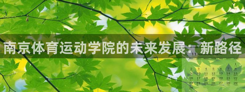捷报网手机比分：南京体育运动学院的未来发展：新路径